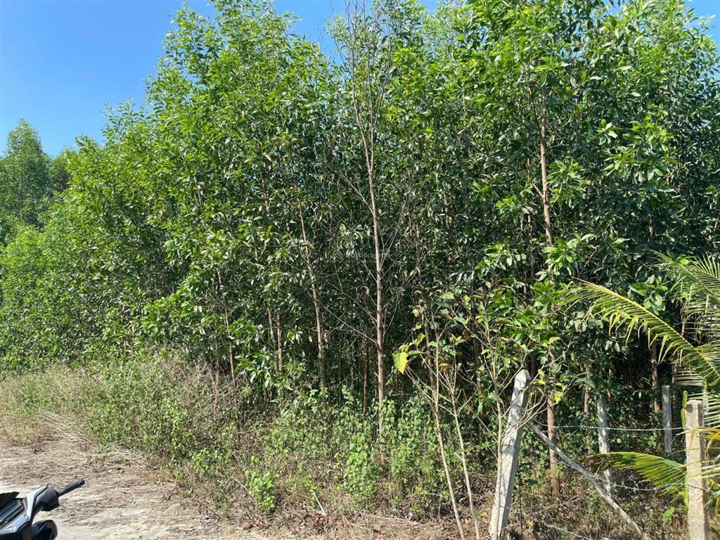 Bán lô đất dt 8.224 m2 xã trung khánh vĩnh (khánh trung), bám đường tới 80m