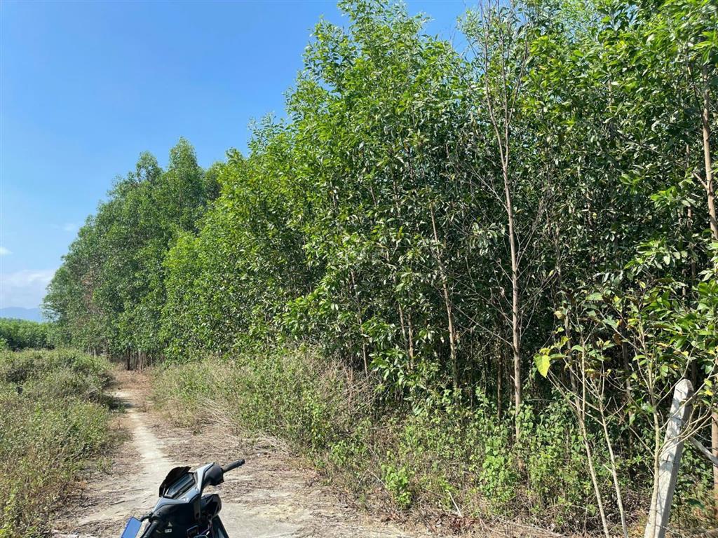 Bán lô đất dt 8.224 m2 xã trung khánh vĩnh (khánh trung), bám đường tới 80m