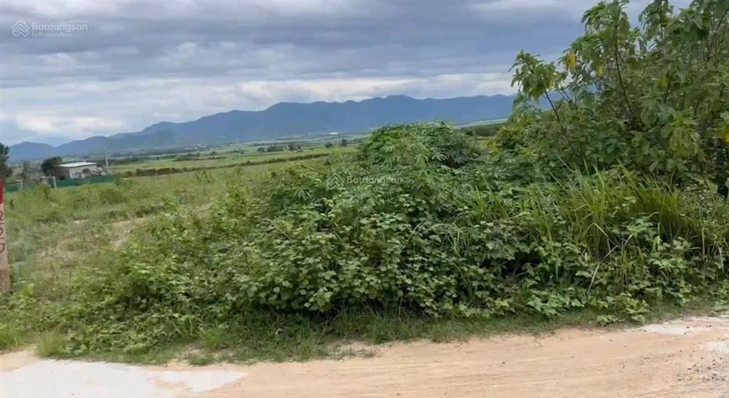 Cần bán nhanh đất diện tích 15.585m2 tại thôn buôn sim, xã tây ninh hòa (ninh tây) khánh hòa