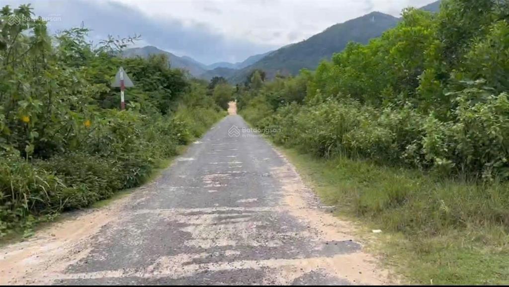 Cần bán nhanh đất diện tích 15.585m2 tại thôn buôn sim, xã tây ninh hòa (ninh tây) khánh hòa