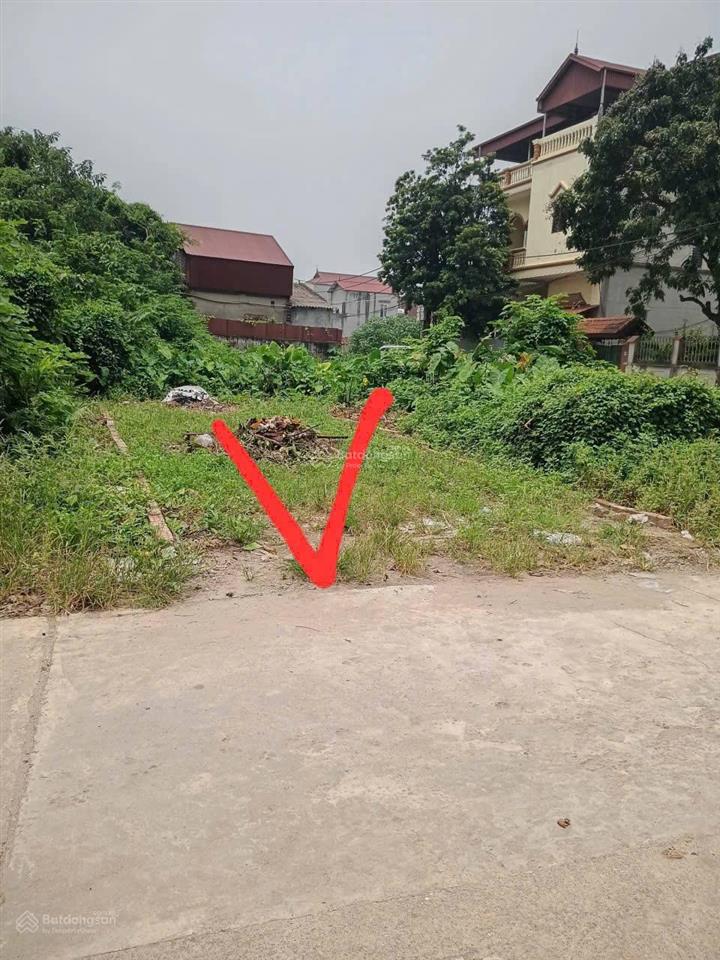 Bán đất liên ninh, 4,35 tỷ, 61m2, mặt tiền 6m, giá hời