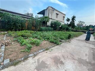 Bán đất tại tự nhiên, thường tín, hà nội, 2,6 tỷ, 45 m2  phân lô  ô tô ngủ trong đất