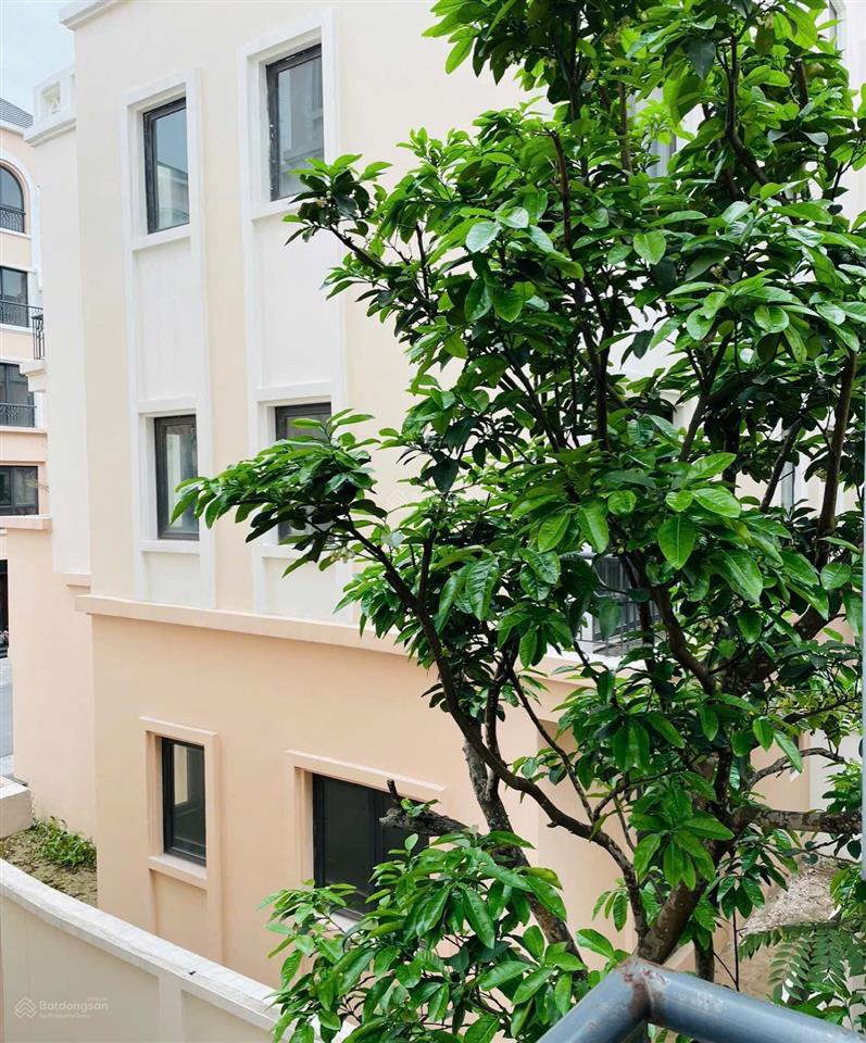 Bán nhanh liền kề 5 tầng 190m2 sàn gần trường vinschool & công viên vh ocean park 2 sẵn sổ 6 tỷ 9