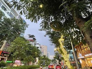 Bán nhà mặt phố lạc long quân  222m2  mt 10m  vỉa hè rộng  xây building