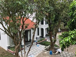 Còn 1 căn duy nhất! bán nhà vĩnh phúc 130m2  mặt tiền 11m  24.5 tỷ  thông số vàng  sổ đỏ vuông