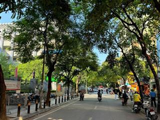 Bán nhà phân lô trung tâm cầu giấy, ngõ 24 phan văn trường, kinh doanh vip,ô tô đậu cửa 44m 5 tầng