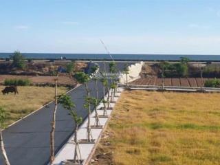 Sở hữu ngay lô đất tiềm năng sinh lời nhanh thích hợp để ở hoặc đầu tư ngay bãi tắm quất lâm