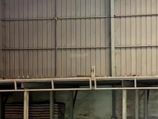 Cần thuê kho xưởng quận 7 dt 380m đường đào trí xe, chuẩn vệ sinh an toàn thực phẩm.