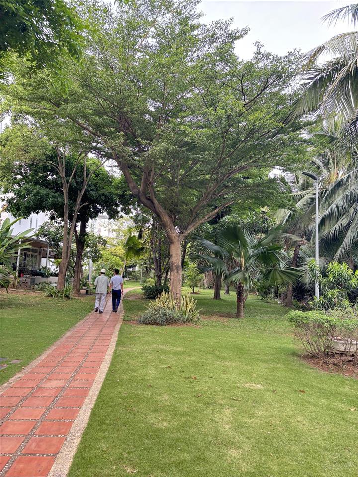 Cập nhật full 33 căn villa park, hot bt full nt 170m2  125tr/m2