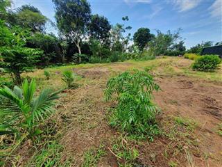 Bán đất xã bình ba châu đức bà rịa vũng tàu cũ, xã ngãi giao tp hồ chí minh. 1147 m2 phủ hồng