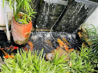 Nhà 2 tầng có sân thượng rộng rãi mặt tiền đường lê chân p. phước tân trung tâm nha trang
