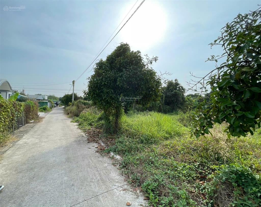 Bán đất tân an, thủ dầu một, bình dương giá siêu hời 1,53 tỷ, 159m2