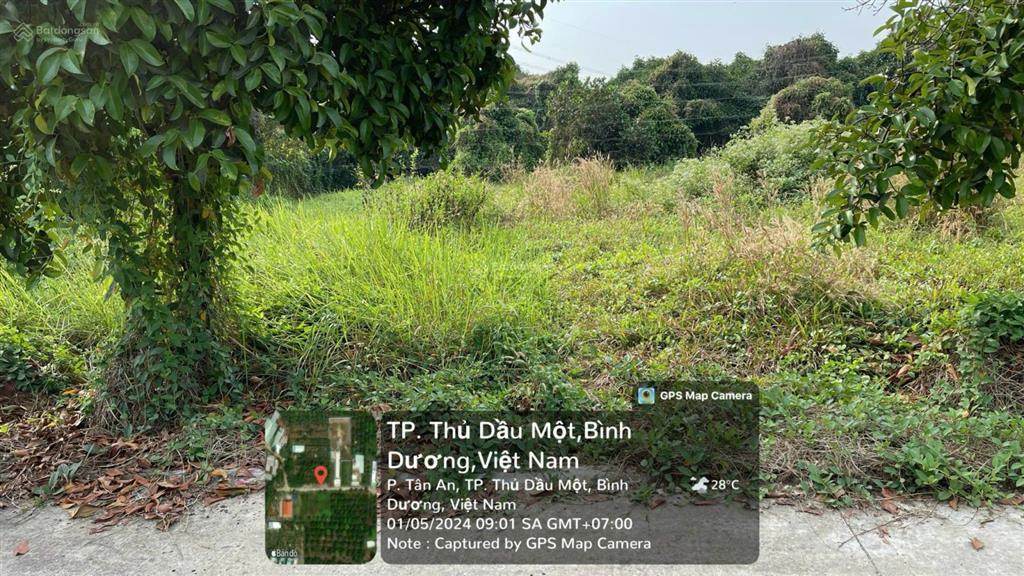 Bán đất tân an, thủ dầu một, bình dương giá siêu hời 1,53 tỷ, 159m2