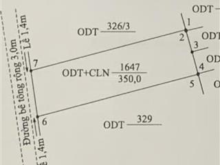 Tứ ngân 01 giáp làng đại học đà nẵng 2026