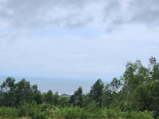 Bán 3,8 ha đất view biển thành phố tuy hòa, phú yên