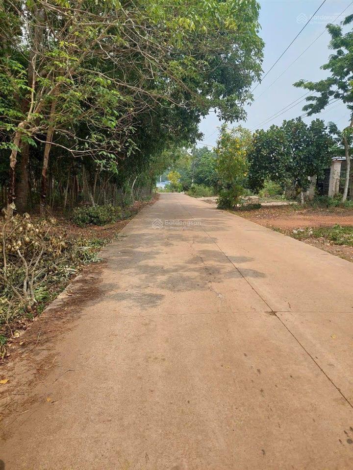 Bán đất tại dh507 bình dương 350tr bán đúng giá shr
