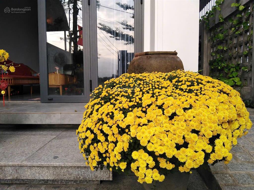 Bán nhà ở riêng lẻ tại xã phước lộc, tuy phước, bình định