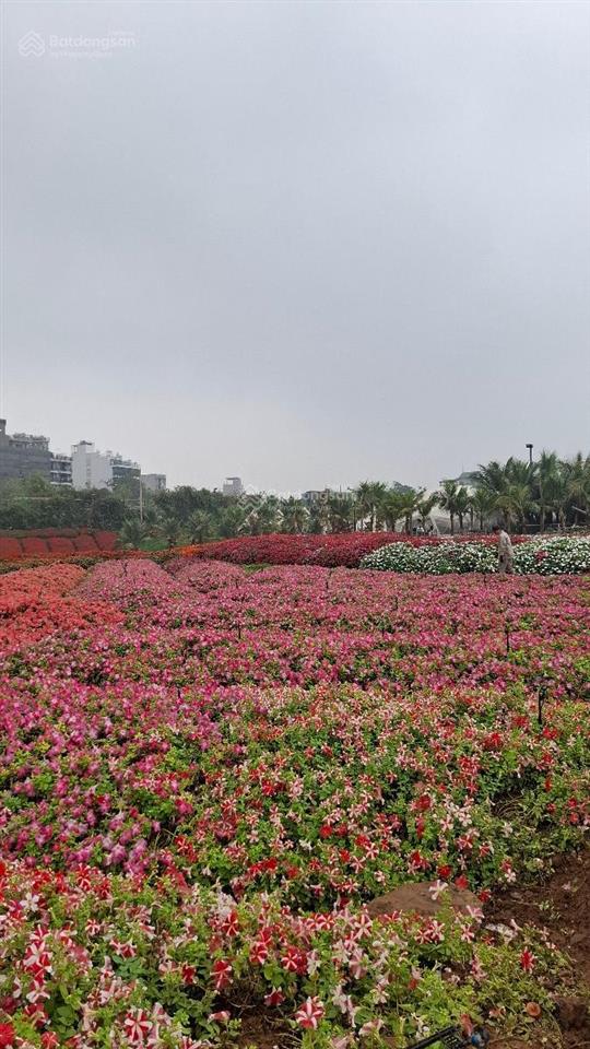 Bán mảnh đất vàng còn sót lại đường thung lũng hoa tây hồ, âu cơ, 838m2, mặt tiền 22m, 145 tỷ