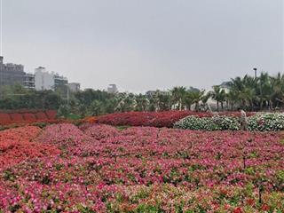 Bán mảnh đất vàng còn sót lại đường thung lũng hoa tây hồ, âu cơ, 838m2, mặt tiền 22m, 145 tỷ