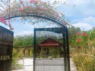 Ba em cần bán nhà vườn nhỏ ở bình phước