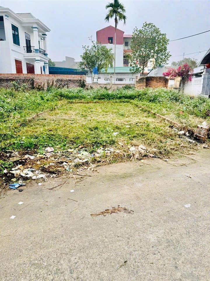 Bán gấp lô đất gần giãn dân giai đoạn mới cẩm xá, mỹ hào. hy.