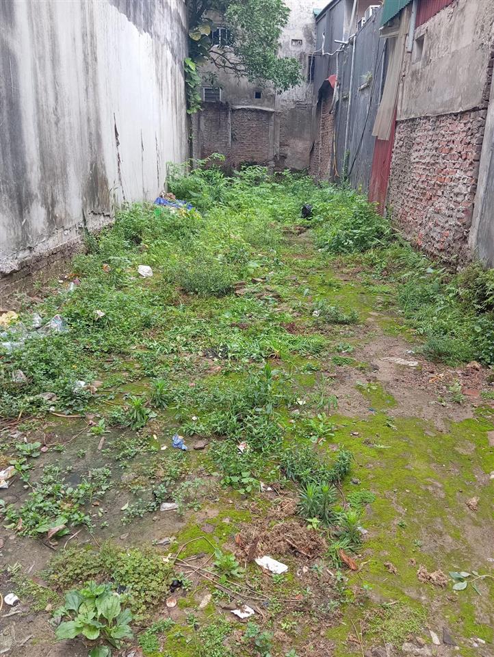 Bán đất đa tốn  gia lâm 55m2 mặt tiền 5m, giá 2,65 tỷ