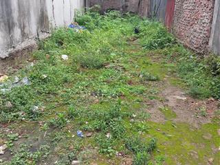 Bán đất đa tốn  gia lâm 55m2 mặt tiền 5m, giá 2,65 tỷ