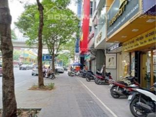 Vị trí hot nhất phố, cho thuê nhà mặt phố thái hà, dt 70m2 x 6 tầng, mt 7m, thông sàn, có thang máy