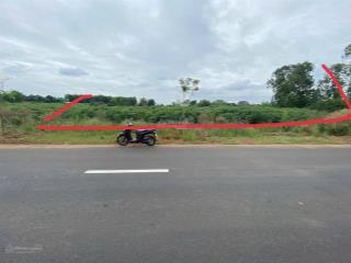 Quỹ đất hơn 4.000m² tt đất đỏ, 800m² thổ cư, mt đường tránh 32m, sổ hồng đủ, chỉ 7tr/m2