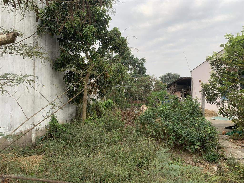 Đất ở xã quy đức, thổ cư full sổ, 171.8m2. chính chủ là em ạ