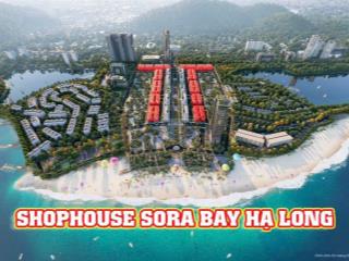 Cơn sốt mới tại hạ long sora bay, tiềm năng tăng giá vượt trội