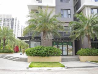 Shop chân đế picity  chỉ từ 6 tỷ, sinh lời cao