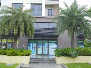 Shophouse chân đế picity  đầu tư sinh lời ổn định
