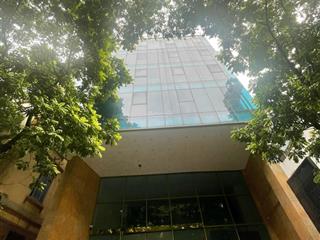 Bán nhà phố lạc long quân, tây hồ 226m2, 8 tầng lô góc, mt 12m, 90 tỷ