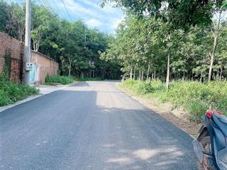 Bán đất tại an bình 22 xã phú giáo, tp. hcm, 8 tỷ, 2000m2, giá tốt