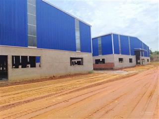 Cho thuê nhà máy sản xuất kcn phú tài 9.000m2 độc lập, có khuôn viên rộng 3.000m2 để phơi nvl
