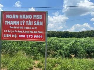 Bán bđs tại xã tân lợi, đồng nai (xã tân hưng, đồng phú, bình phước cũ)  giá thỏa thuận