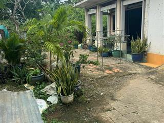 Ngợp ngân hàng. cần bán gấp nhà cấp 4 dt 400m2 (15,5x26m) đất vuông như tờ a4