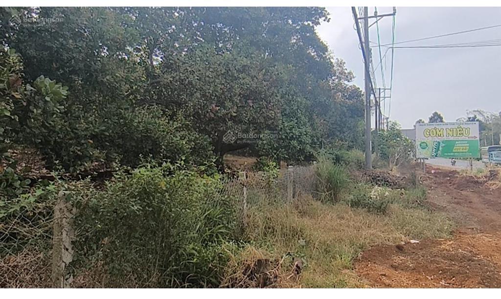 Siêu hiếm  đất mặt tiền 45m * 171m, đối diện trạm dừng, quốc lộ 20, định quán, đồng nai