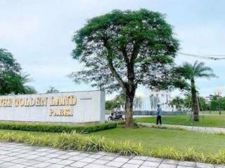 Bán gấp đất Khu đô thị mới Quang giáp phường Thạch Khôi, thành Phố Hải Dương giá đầu tư