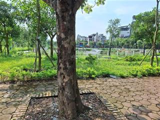 50m2 đất vuông đẹp 6.95 tỷ  ô tô vào đất  1 bước oto tránh  giá tốt phúc lợi,long biên!