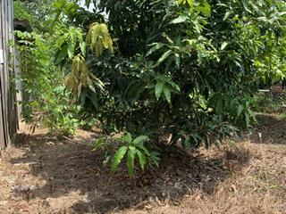 Đất 2 mặt tiền quốc lộ 1a đối đối diện kcn tân hương