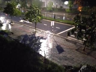 Ban dat tran binh trong phuong 3 8x20 160m2
