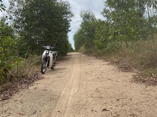 Chủ bán gấp lô đất 20.000m2 (đã tách 3 sổ), mt đường sỏi, view điện gió thiện nghiệp, 650 nghìn/m2