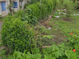 Đất vườn . hiện trồng cafe tiêu