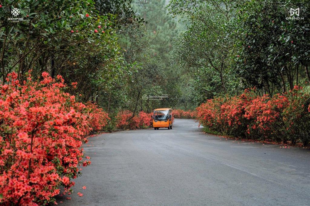 Chuyển nhượng đơn lập mặt hồ rừng thông thanh xuân valley  kí hđmb nhận nhà ngay