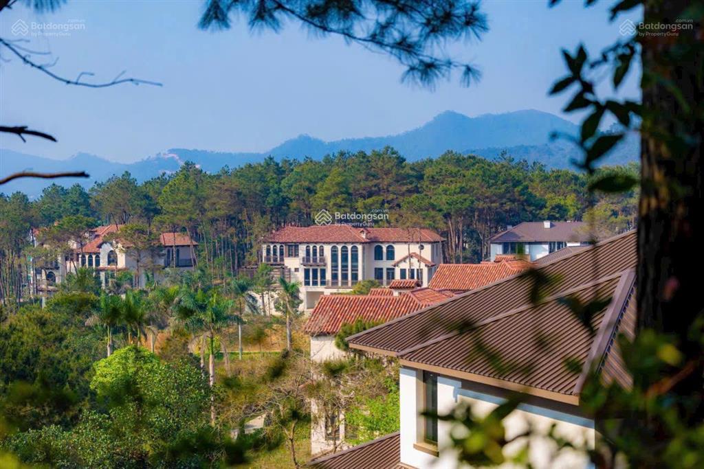 Chuyển nhượng đơn lập mặt hồ rừng thông thanh xuân valley  kí hđmb nhận nhà ngay