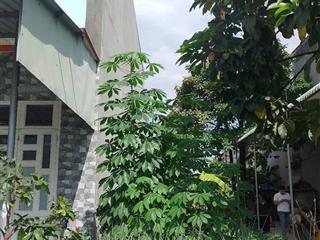 Đất nền xã nhựt chánh bến lức long an