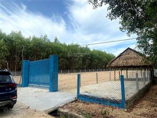 Sở hữu đất vườn siêu hấp dẫn, sổ riêng, dt 700tr/1000m2, xã an sơn, thuận an gần chùa thiên phước