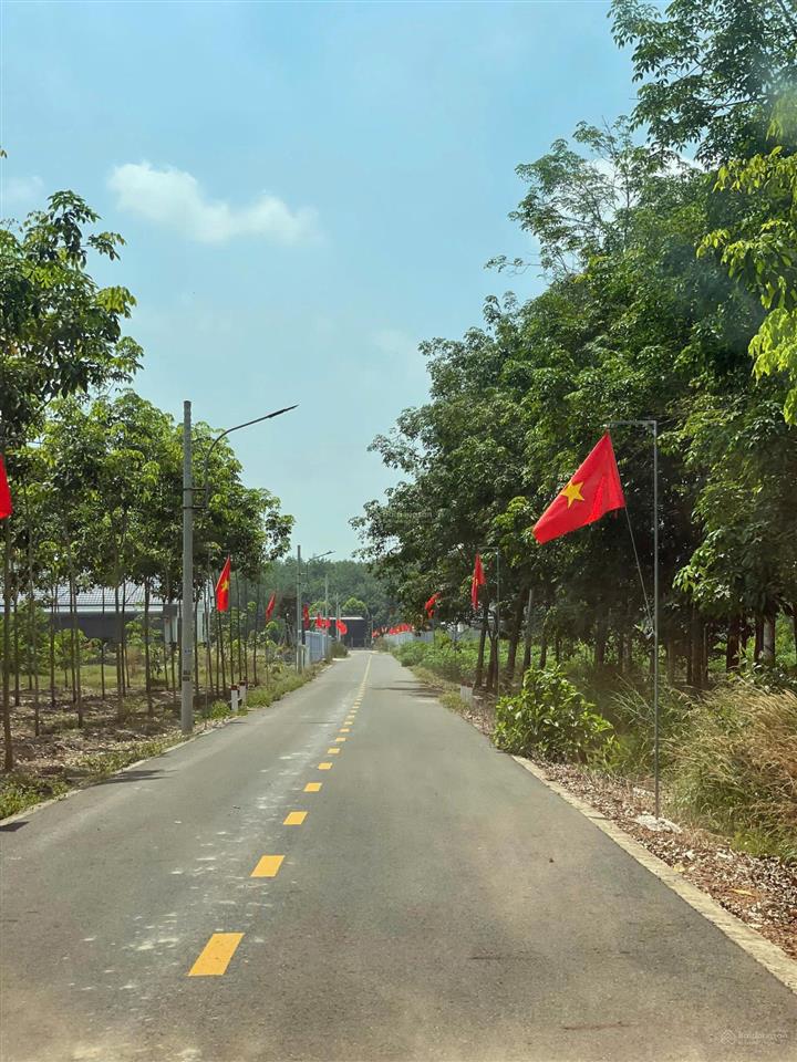 Bán lô đất sào mặt tiền ngang 20m tại bình dương, 1139m2 giá 490 triệu shr. gọi số 0782 903 ***